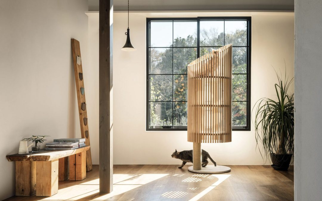 Beautiful see-through Cat Tree