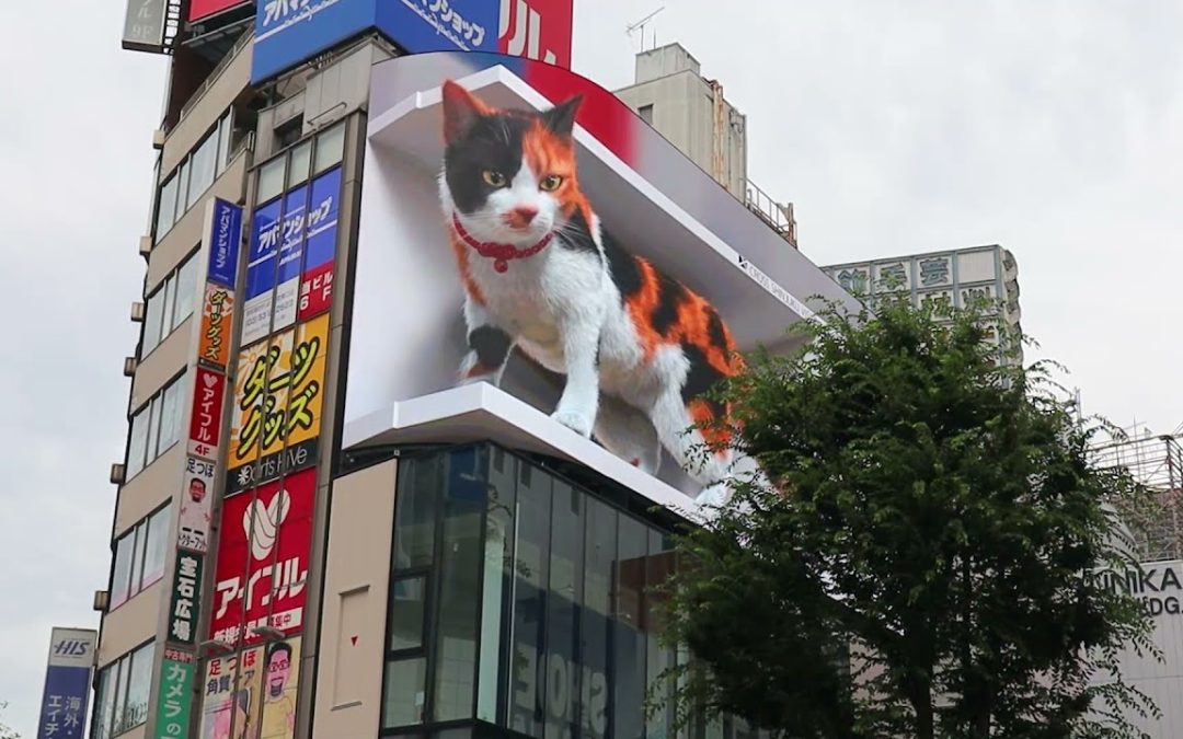 Wow! The Cat look so real