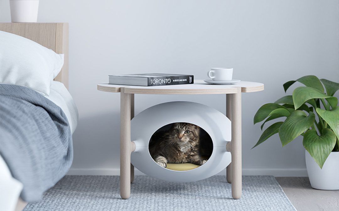 The Igloo by Teixeira Design Studio doubles as a table for humans and a bed for cats