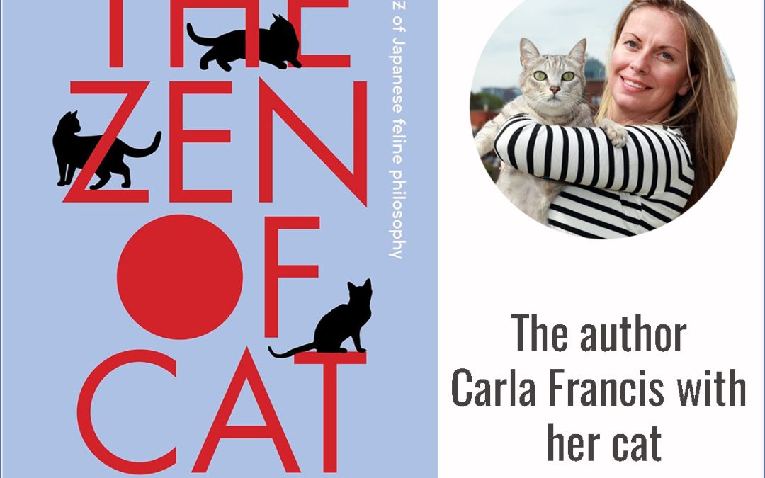 ‘Cats are like mini gurus’: the feline path to inner peace