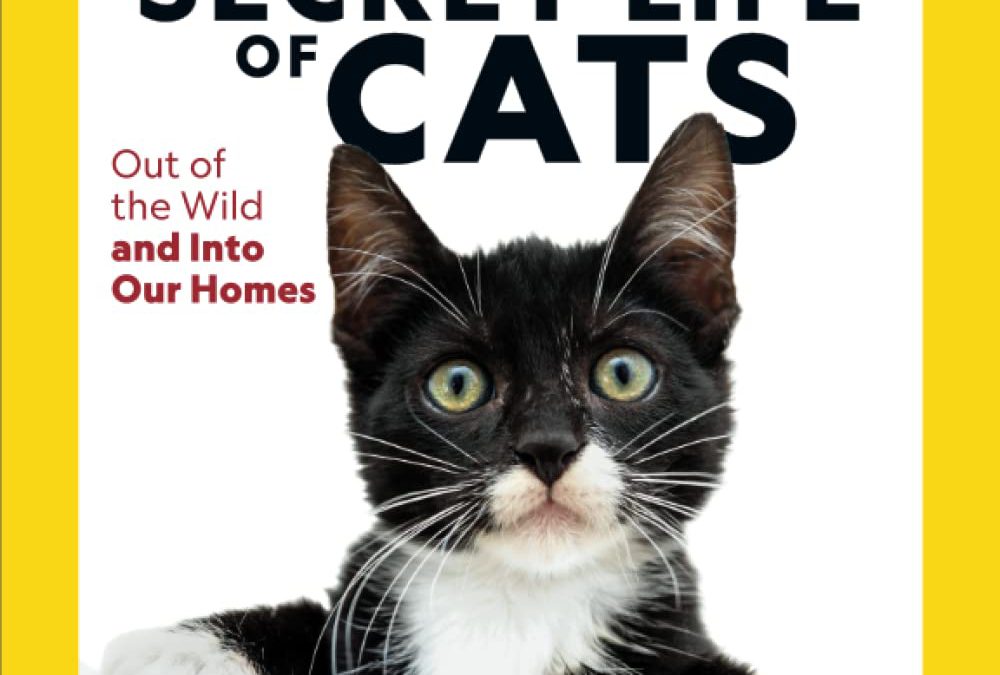 The Secret Lives of Cats